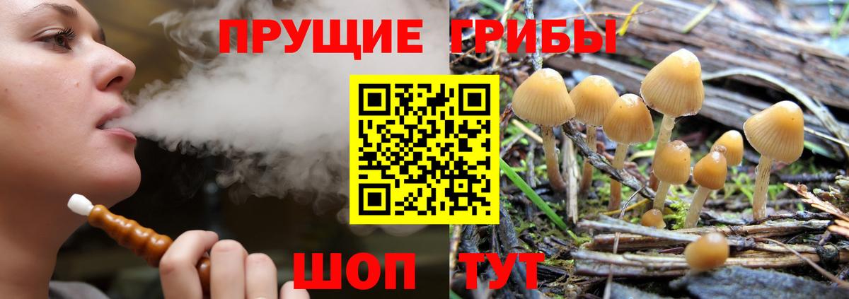 Псилоцибиновые грибы Psilocybe  Вход с VPN  Полысаево  Псилоцибиновые грибы мухоморы 